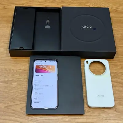Vivo X300 Basic